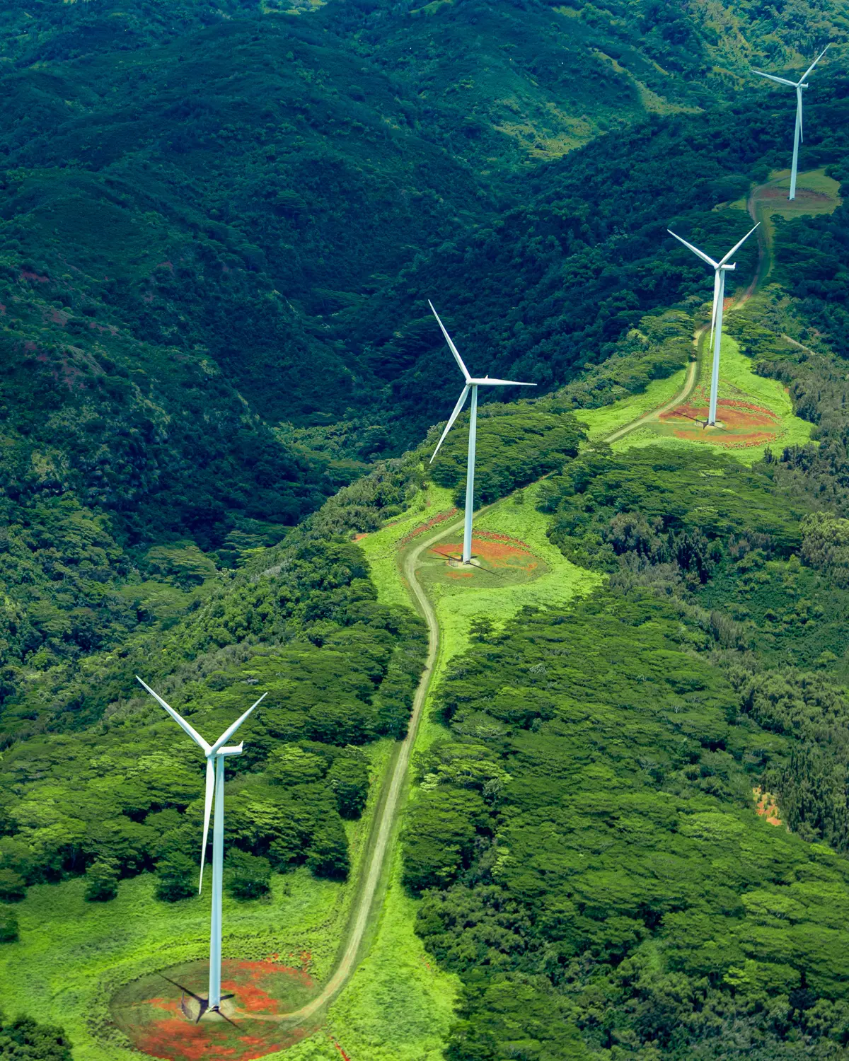HSO and Microsoft your partner in your sustainable digital transformation