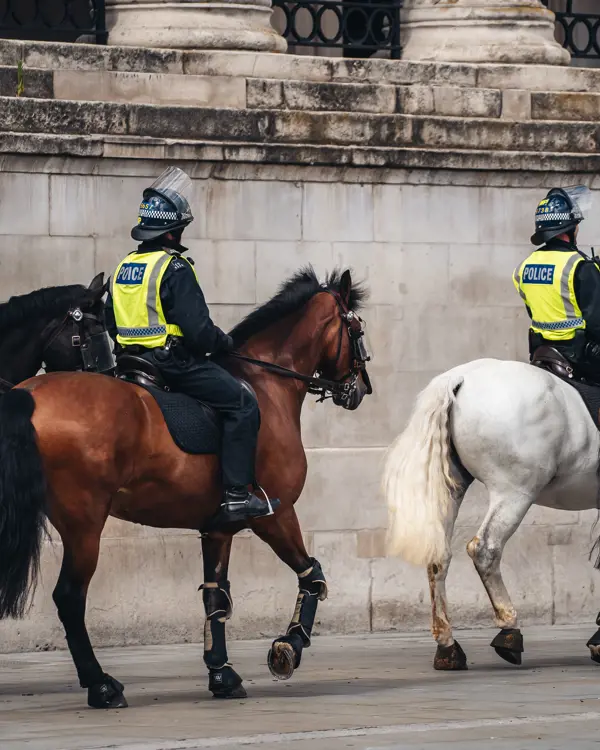 A picture of a British mounted police A picture of a British mounted police