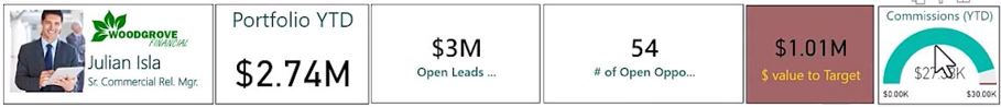 Video: Commercial relationship managers meet targets and goals with Actionable Insights - 02