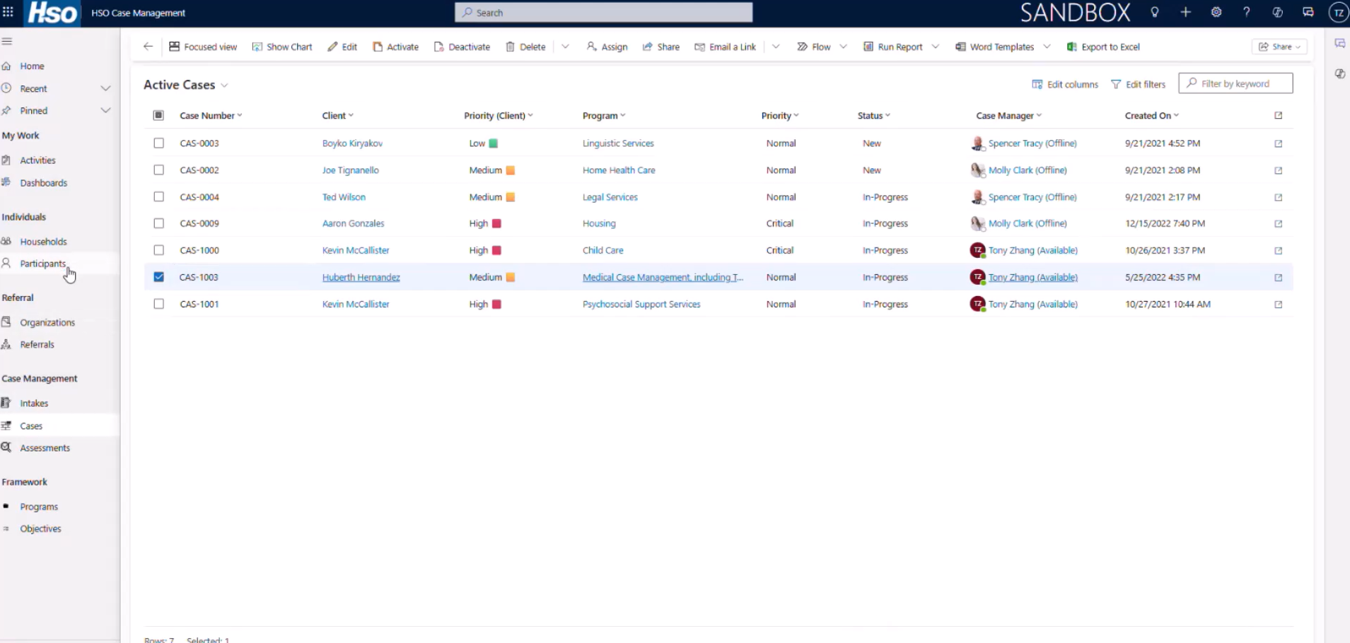 HSO Screenshot - Case Management Accelerator V1.png
