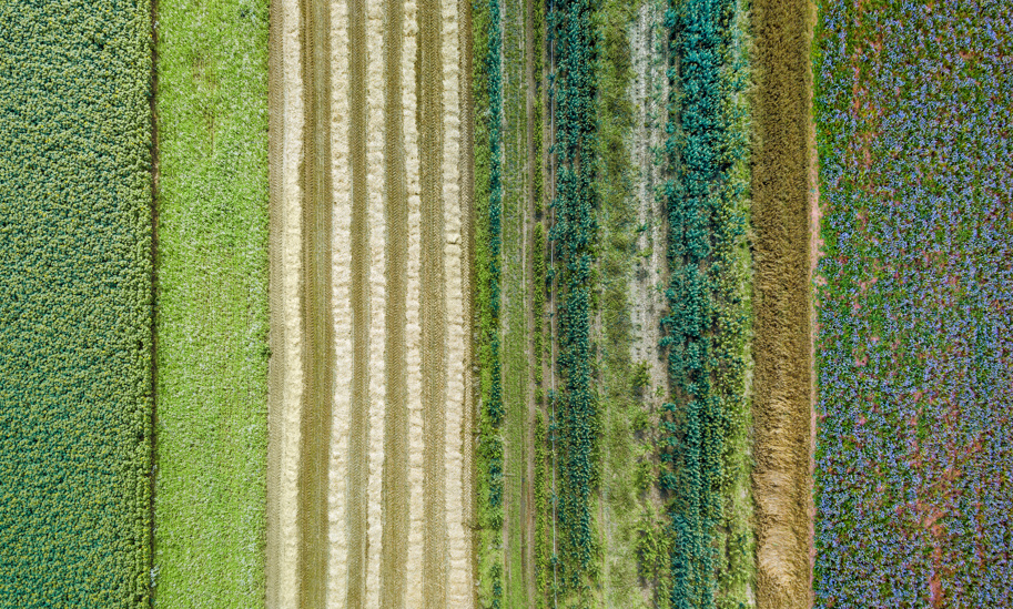 ESG fields from above